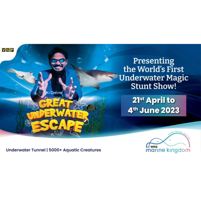 VGP Marine Kingdom